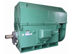 Y450-4CYKK系列高压电机