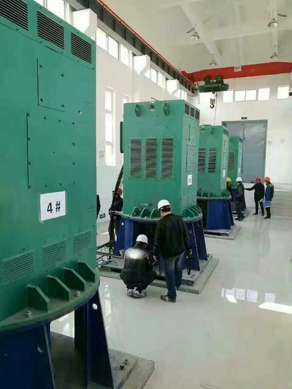 Y450-4C某污水处理厂使用我厂的立式高压电机安装现场